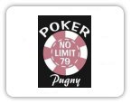 Pugny Poker No Limit 79